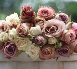 Mix of dusky pink roses
