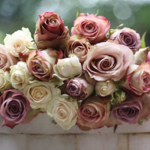 Mix of dusky pink roses