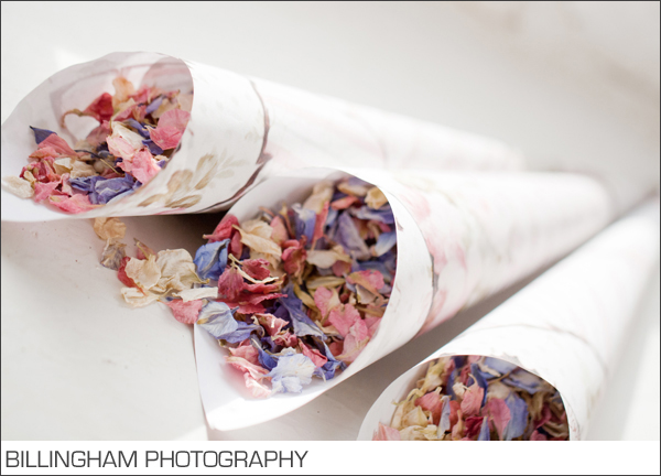 pink purple delphinium confetti