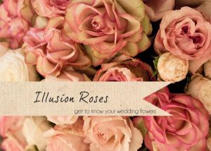 illusion roses wedding flower