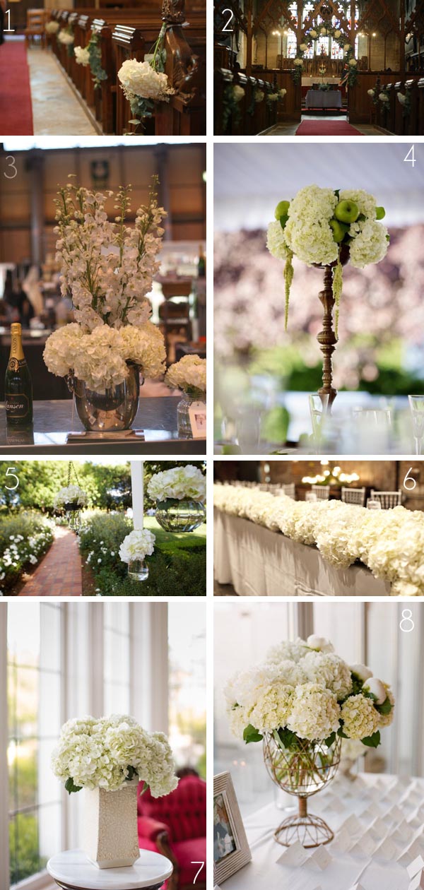 white hydrangeas wedding