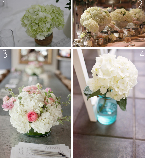 white hydrangeas wedding