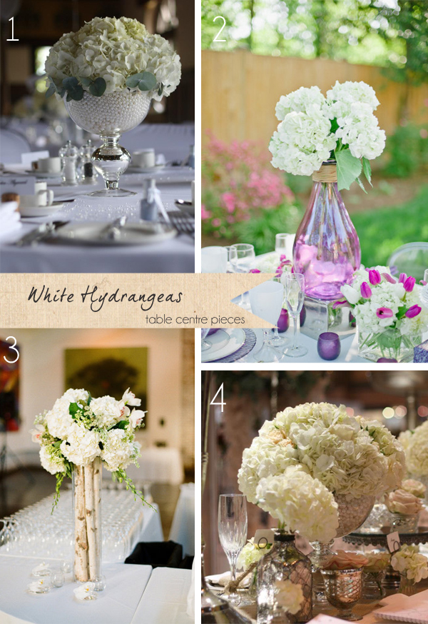 white hydrangeas wedding centre piece