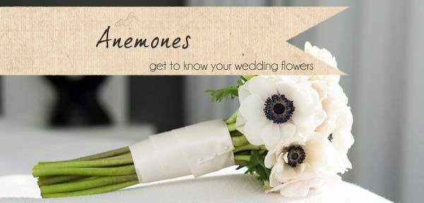 anemone wedding flowers