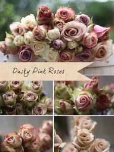dusky pink roses vintage roses