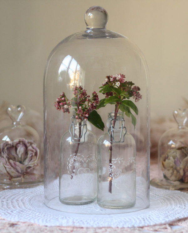 glass bell jar cloche