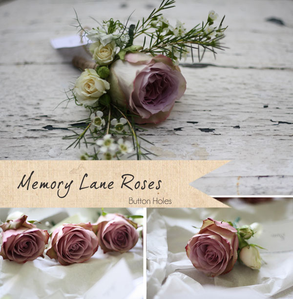 memory lane roses button holes dusky pink