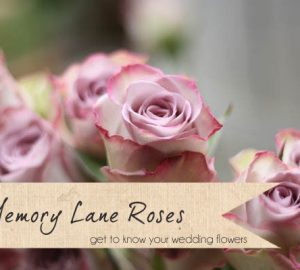 memory lane roses wedding flowers