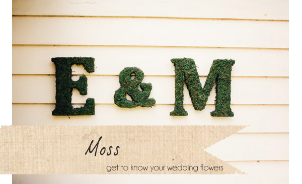 Moss Wedding Decor Ideas ~ Get To Know Your Wedding Flowers - UK Wedding  Styling & Decor Blog - The Wedding of My Dreams