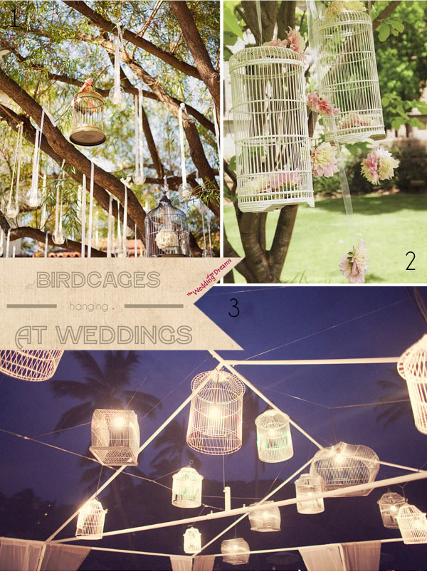 hanging birdcages at weddings