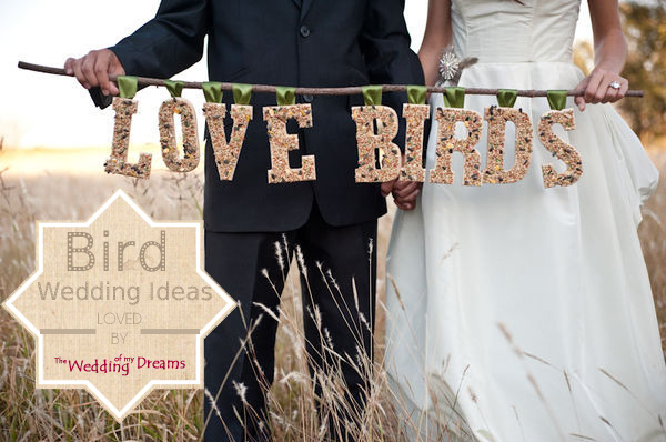 love bird wedding