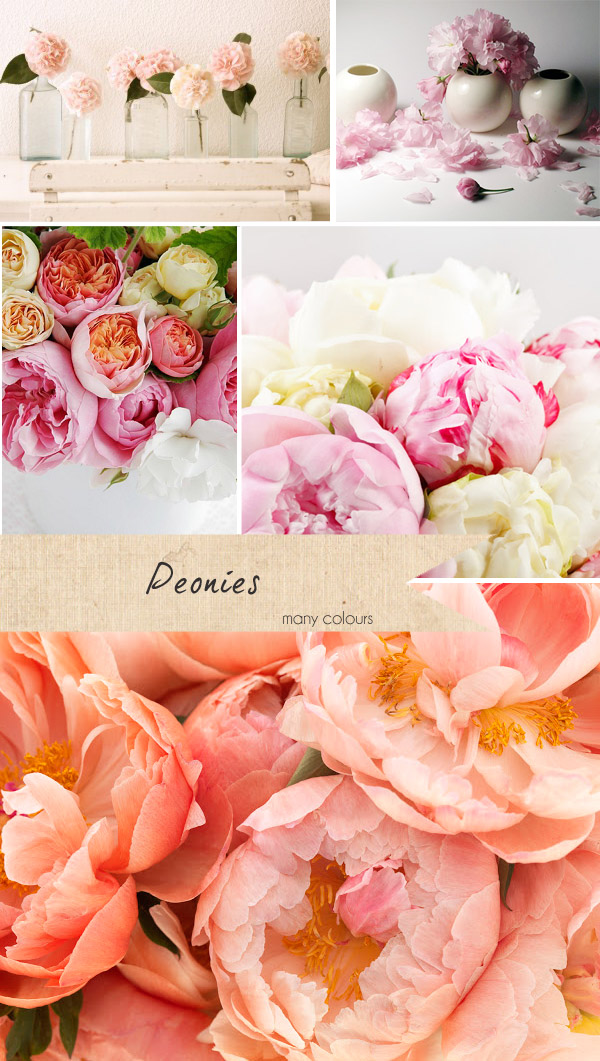 peonies wedding flowers pink colours
