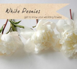 white peonies wedding flowers