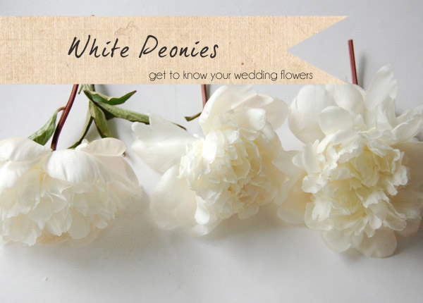 white peonies wedding flowers