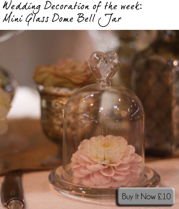 mini glass dome bell jar