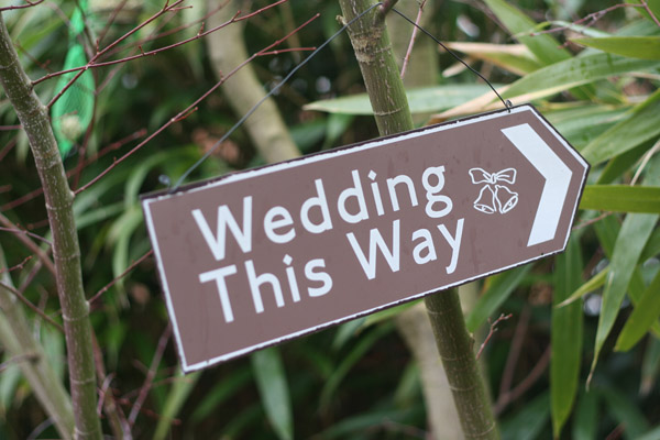 wedding this way brown road sign