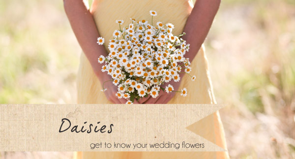 daisy flower bouquet wedding