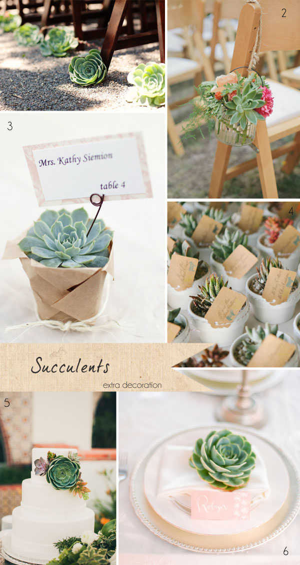 succulents wedding flowers favours cake decorations ceremony aisle decorations