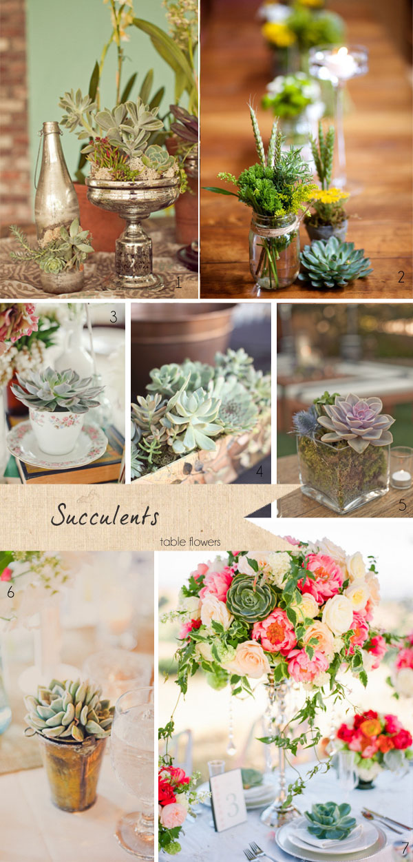 succulents wedding flowers table centre pieces
