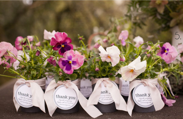 potted pants wedding favours 