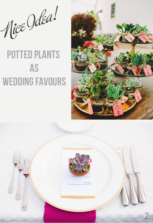 potted pants wedding favours