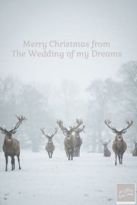Merry Christmas from The Wedding of my Dreams