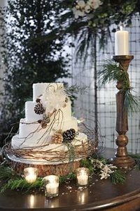 winter wedding cake rustic