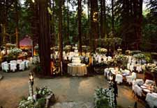 woodland wedding centrepiece ideas outdoor forest wedding