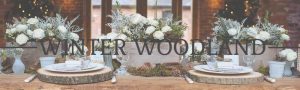WINTER WOODLAND WEDDING DECORATIONS FOR SALE at www.theweddingofmydreams.co.uk