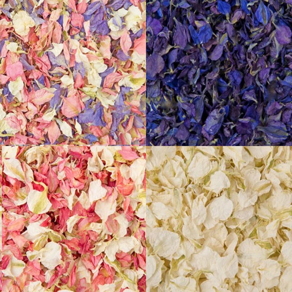 confetti petals bulk