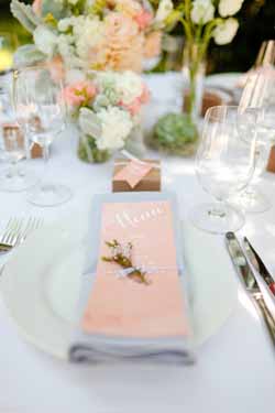 peach and blue wedding decorations and ideas