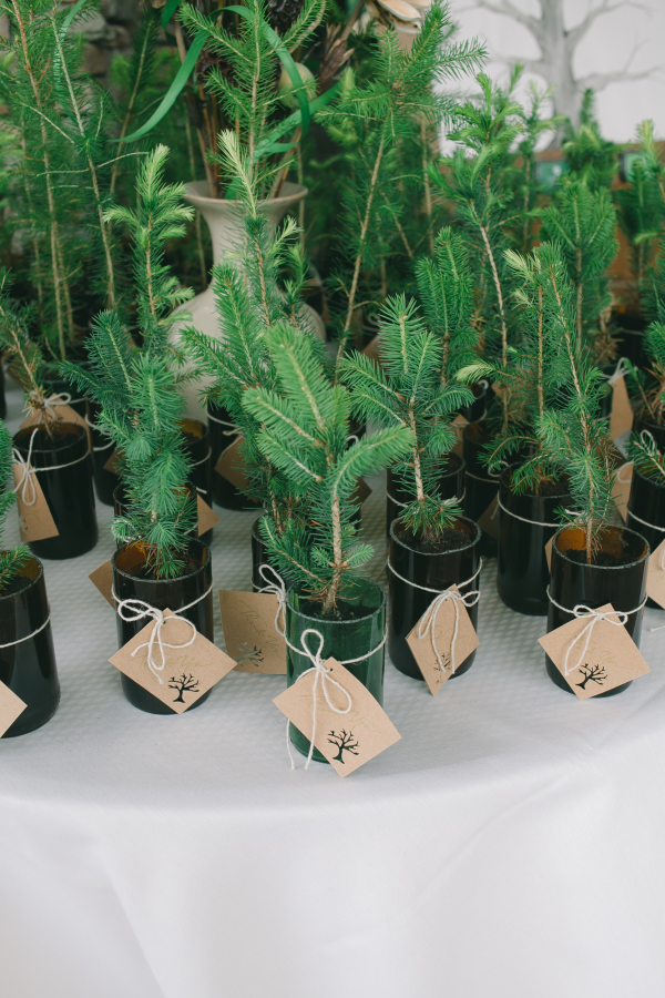 winter wedding favours christmas trees