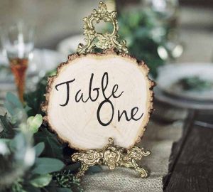 Rustic Elegant Wedding Ideas - Tree Slice and Escort Card Ideas