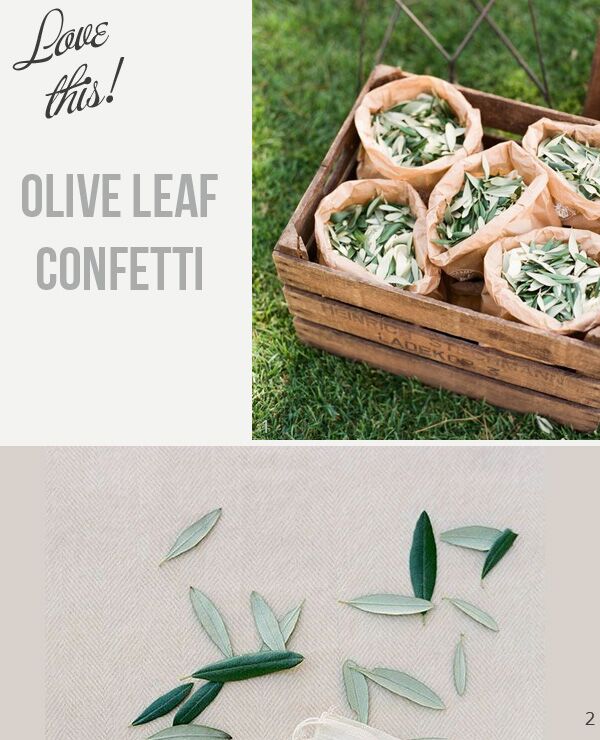 Olive Wedding Confetti and Decoration Ideas