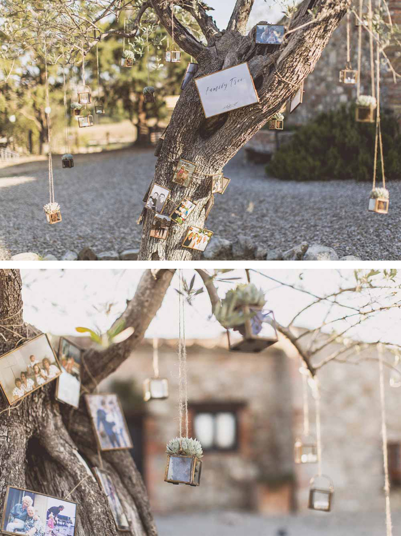 Family Tree Olive Tree Destination Wedding Italy