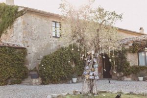 Family tree photo display wedding Italy