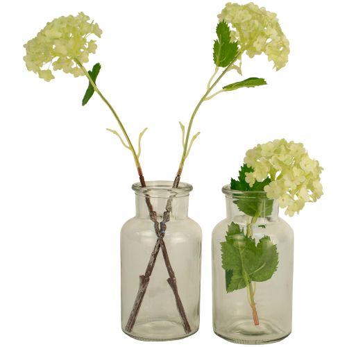 Botanical_glass_bottle_vases