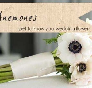 anemone wedding flowers