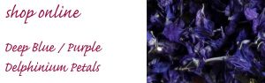 confetti petals blue purple