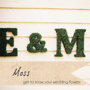 moss wedding letters