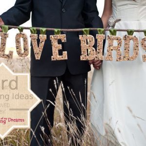 love bird wedding