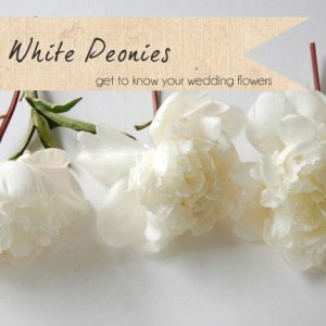 white peonies wedding flowers
