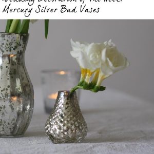 mercury silver bud vases