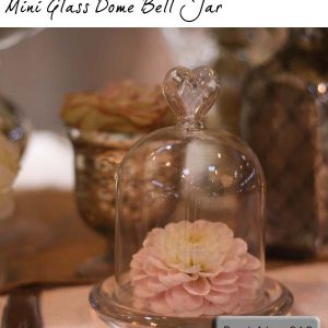 mini glass dome bell jar