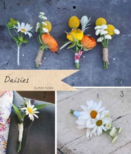 button holes daisies daisy
