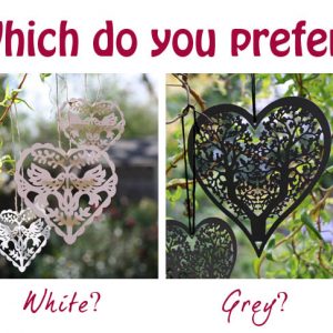 white or grey lovebird hearts