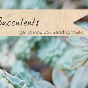 succulents wedding flowers