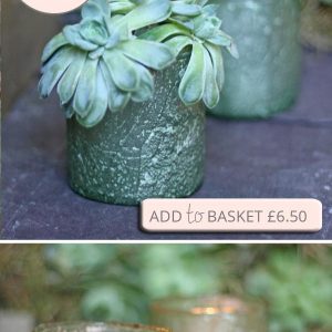 green bud vase tea light holder recycled organic glass succulent copy