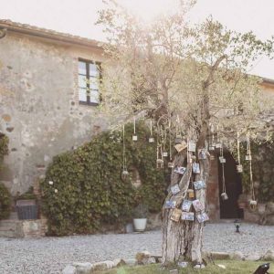 Family tree photo display wedding Italy